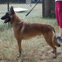 Vadim à 1.5 ans