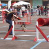 Constance à l'Agility