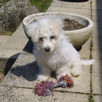 Sur la terrasse