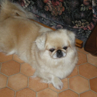 Photo #206198 de Roxie