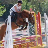 virginie et ma ponette