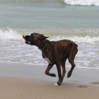 jadore la mer je peux courir partout mais jai un peu peur des vagues