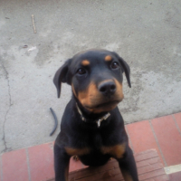 Photo #211899 de Neela