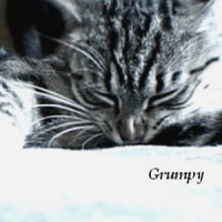 Photo #212798 de Grumpy