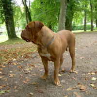 Vanda Balade au parc