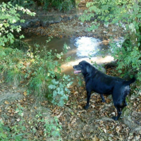 Moi et l'eau !!