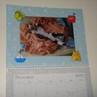 j'ai meme mon calendrier perso!!