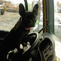 Brook dans le camion