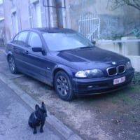 à Nancy, elle surveille la voiture lol