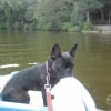 sur le pedalo