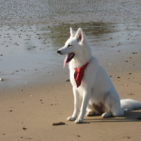 toujours sur la plage...