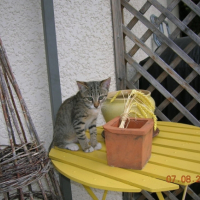 Mon arrivée à la maison...Avant j'étais timide