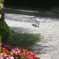 plein de place dans la nouvelle villa pour mon pacha