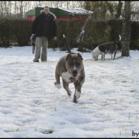 Photo #218317 de Une petite kim des gardiens d'attila