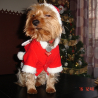 Photo #218327 de Budy