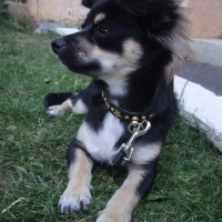 Photo #218692 de Lucky