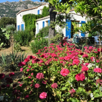 c est ma maison en corse