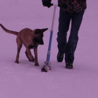 j'ai même connus un drôle d'engin, mélange de trotinette et snow