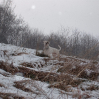 Photo #220727 de Diouck