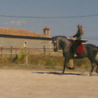 Photo #224944 de Pegaso xxv