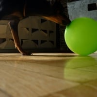 Lola et le ballon de baudruche