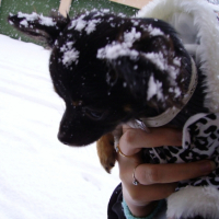 **sous la neige avec mon beau manteau trpo chic**