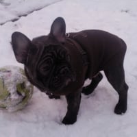 partie de foot sur la neige!!