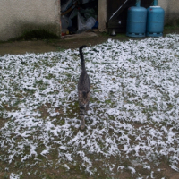 à la découverte de la neige!c froid!