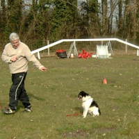 Dixi (2 ans) en education canine - St Julien de Beychevelle - Medoc - 13 fevrier 2010