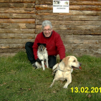 Dixi (2ans) et Alaska (4 ans et demi) - St Julien de Beychevelle - Medoc - 13 fevrier 2010