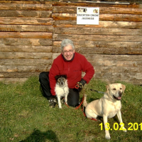 Dixi (2ans) et Alaska (4 ans et demi) - St Julien de Beychevelle - Medoc - 13 fevrier 2010 - photo 2