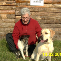 Dixi (2ans) et Alaska (4 ans et demi) - St Julien de Beychevelle - Medoc - 13 fevrier 2010 - photo 3