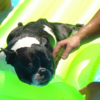 dans la piscine