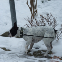 huuummm la neige!!!