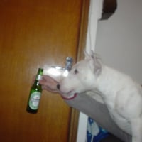 Non je ne suis pas alcoolique, lol..!!