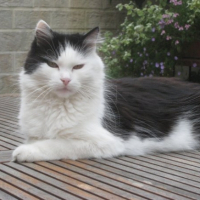 cool sur la table de terrasse