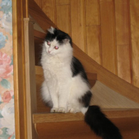 sur les marches d'escalier je joue 