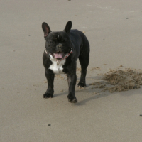 eros a la plage