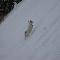 Saut de L'ange dans la neige ^^ 