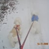 moi et ma maman en promenade dans la neige 