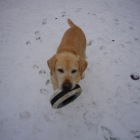 super la neige