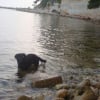 Lola qui se baigne dans la mer