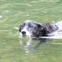 Laura dans l'eau ENCORE !!