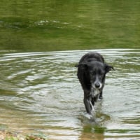 Laura sort ENFIN de l'eau !!