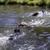 baignade en famille