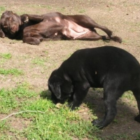 j'apprends à une de mes filles à faire la sieste, c'est important !