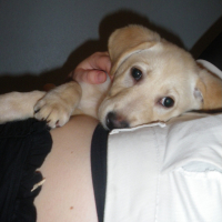 Photo #233234 de Filou