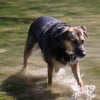 La baignade est finie ! Snif !