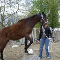 un peu de foot