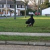 plein de partie de foot